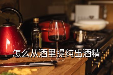 怎么從酒里提純出酒精