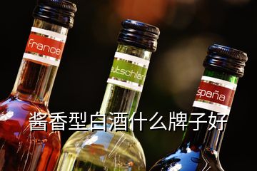 醬香型白酒什么牌子好