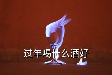 過(guò)年喝什么酒好