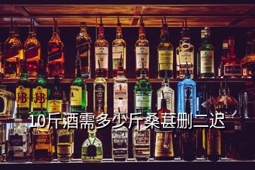 10斤酒需多少斤桑葚刪二遲