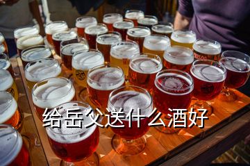 給岳父送什么酒好