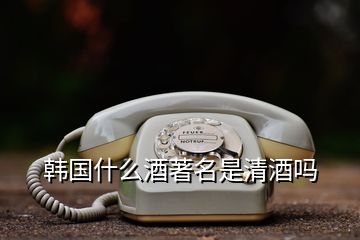 韓國什么酒著名是清酒嗎