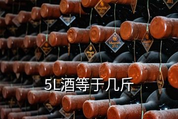 5L酒等于幾斤