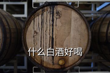 什么白酒好喝