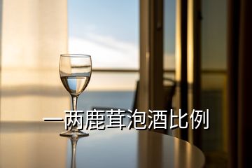 一兩鹿茸泡酒比例