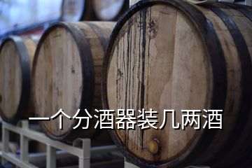 一個(gè)分酒器裝幾兩酒