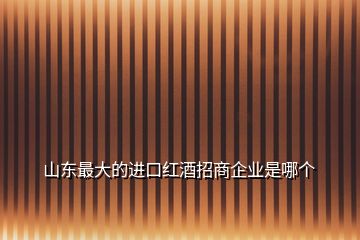 山東最大的進口紅酒招商企業(yè)是哪個