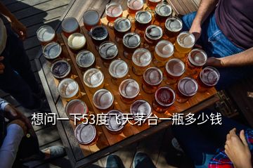 想問(wèn)一下53度飛天茅臺(tái)一瓶多少錢