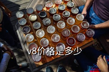 v8價(jià)格是多少