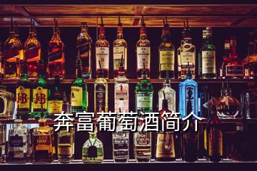 奔富葡萄酒簡介