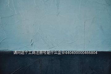 請(qǐng)問(wèn)這個(gè)工商注冊(cè)號(hào)是什么企業(yè)440400000466804