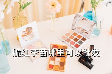 脆紅李苗哪里可以批發(fā)