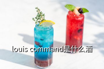 louis command是什么酒