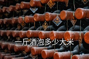 一斤酒泡多少大米