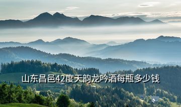山東昌邑42度天韻龍吟酒每瓶多少錢