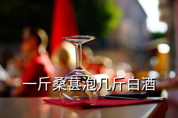 一斤桑葚泡幾斤白酒