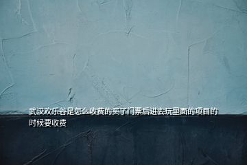 武漢歡樂谷是怎么收費的買了門票后進(jìn)去玩里面的項目的時候要收費