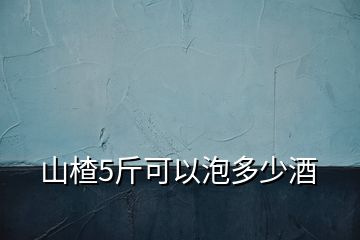 山楂5斤可以泡多少酒