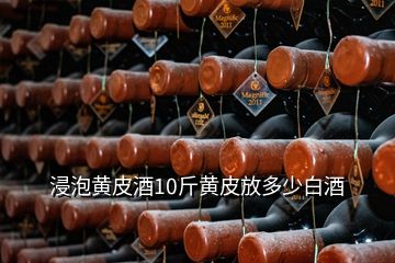 浸泡黃皮酒10斤黃皮放多少白酒