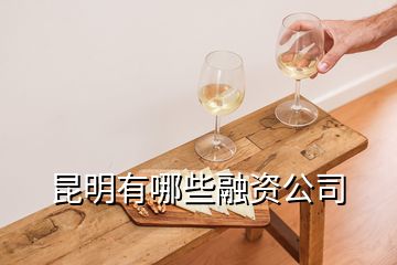  昆明有哪些融資公司