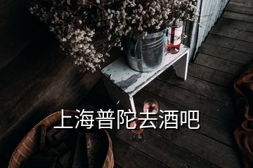 上海普陀去酒吧