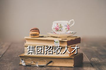 集團(tuán)招收人才