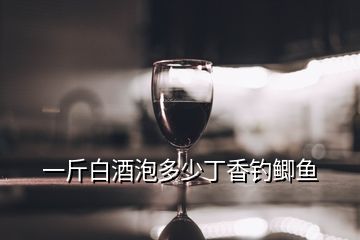 一斤白酒泡多少丁香釣鯽魚