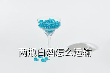 兩瓶白酒怎么運輸