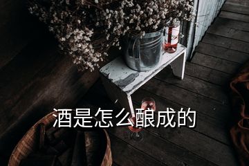 酒是怎么釀成的