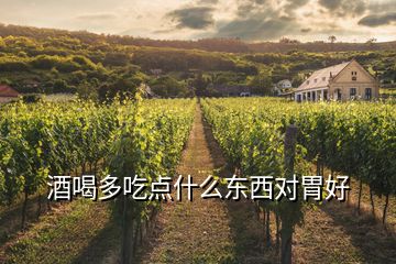 酒喝多吃點什么東西對胃好