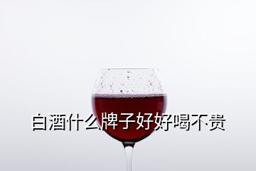 白酒什么牌子好好喝不貴