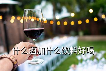 什么酒加什么飲料好喝