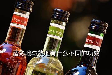 酒熟地與熟地有什么不同的功效