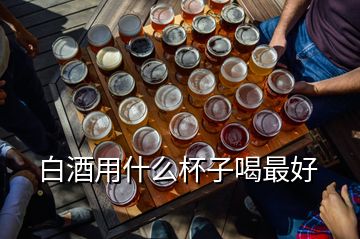 白酒用什么杯子喝最好