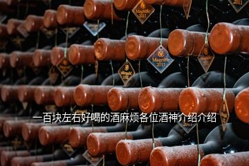 一百塊左右好喝的酒麻煩各位酒神介紹介紹