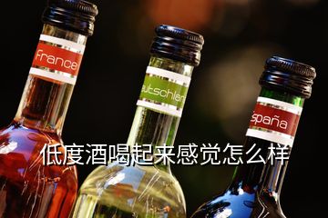 低度酒喝起來(lái)感覺(jué)怎么樣