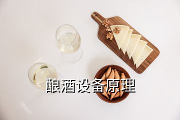 釀酒設備原理