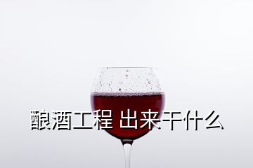 釀酒工程 出來干什么