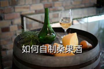 如何自制桑果酒