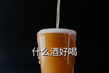 什么酒好喝