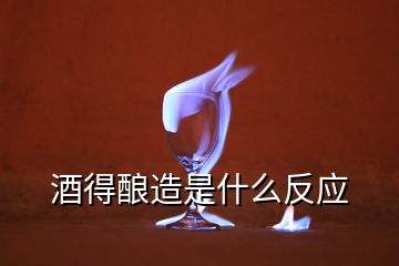 酒得釀造是什么反應(yīng)