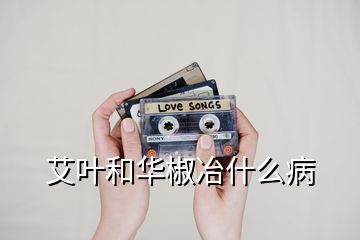 艾葉和華椒冶什么病