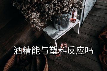 酒精能與塑料反應(yīng)嗎