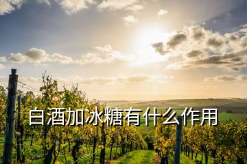 白酒加冰糖有什么作用