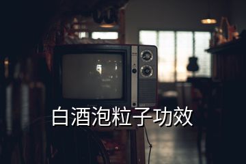 白酒泡粒子功效