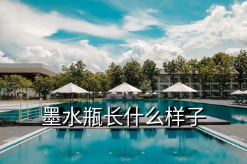 墨水瓶長(zhǎng)什么樣子