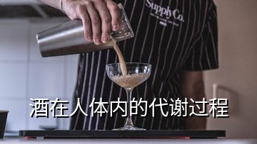 酒在人體內(nèi)的代謝過程