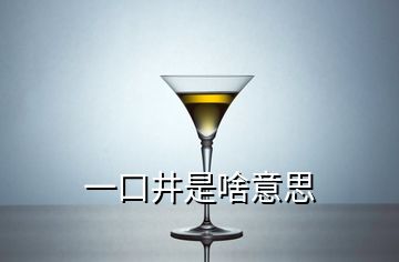 一口井是啥意思