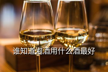 誰(shuí)知道泡酒用什么酒最好