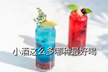 小酒這么多哪種最好喝